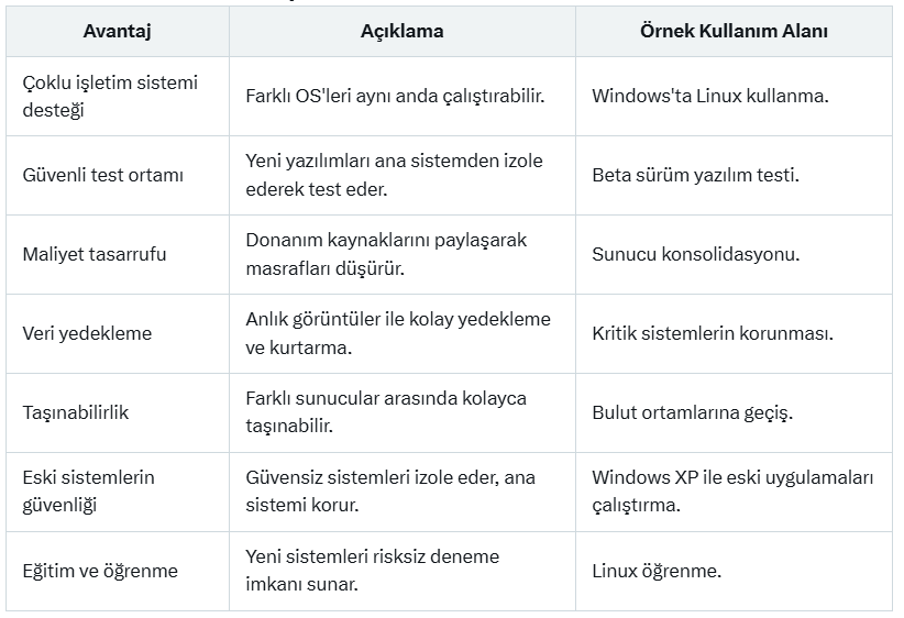 Sanal Makine Avantajları