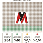 Yapay Zeka Kullanım İstatistikleri